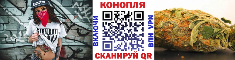 Конопля SATIVA & INDICA  купить  цена  Зея 